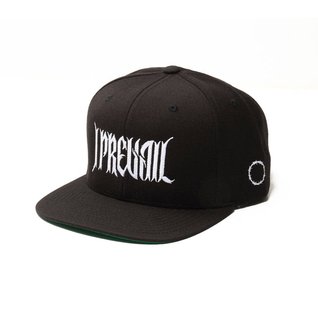 Barbed Wire Logo Hat (Black)