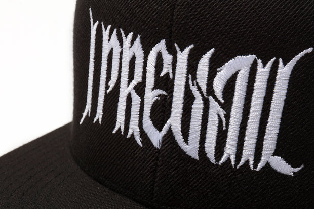 Barbed Wire Logo Hat (Black)